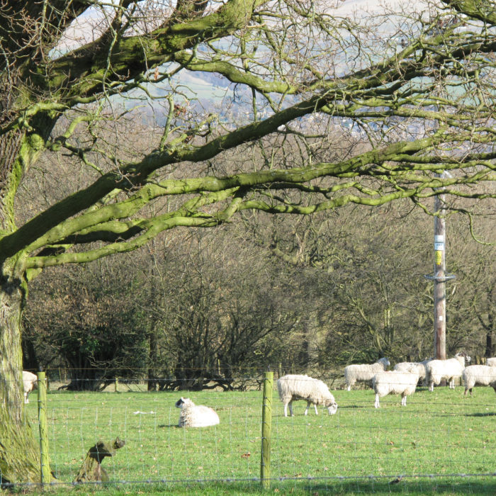 Escape Rooms Stockport Escape Game Extremescape